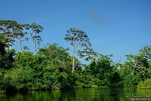 Bolivia te espera! Часть 7