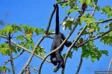 Bolivia te espera! Часть 7