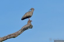 Bolivia te espera! Часть 7