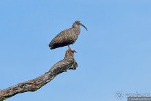 Bolivia te espera! Часть 7