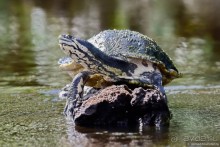 Bolivia te espera! Часть 7