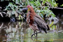 Bolivia te espera! Часть 7