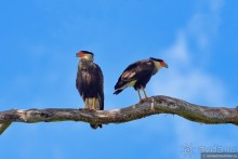 Bolivia te espera! Часть 7