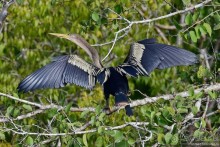 Bolivia te espera! Часть 7