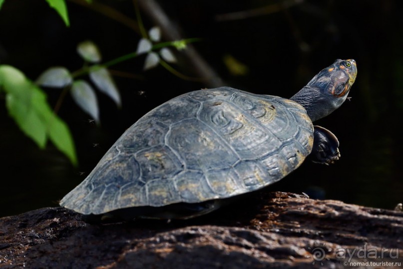 Bolivia te espera! Часть 7