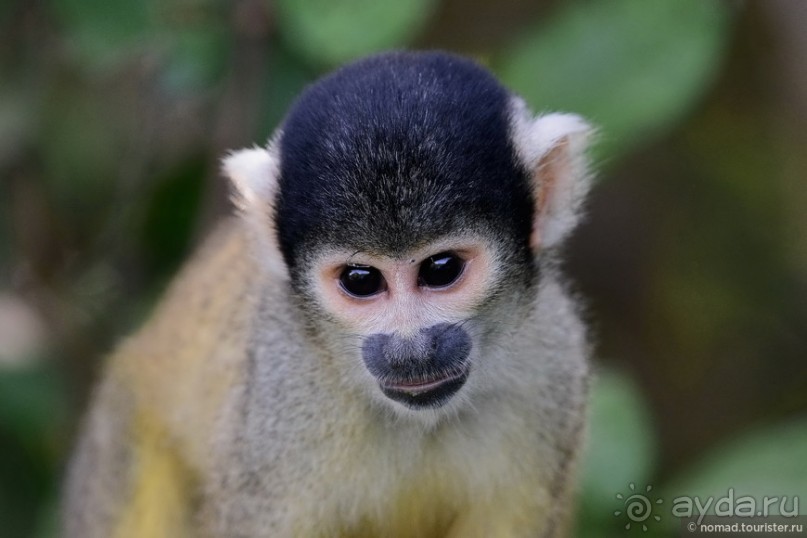 Bolivia te espera! Часть 7