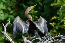 Bolivia te espera! Часть 7