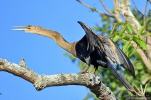 Bolivia te espera! Часть 7