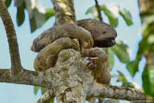 Bolivia te espera! Часть 7