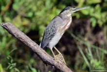 Bolivia te espera! Часть 7