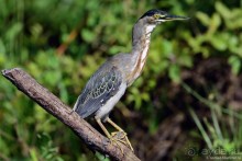 Bolivia te espera! Часть 7