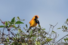 Bolivia te espera! Часть 7