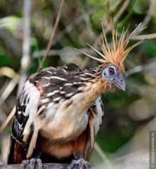 Bolivia te espera! Часть 7