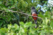 Bolivia te espera! Часть 7