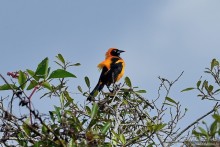 Bolivia te espera! Часть 7