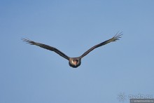 Bolivia te espera! Часть 7