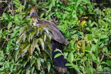 Bolivia te espera! Часть 7