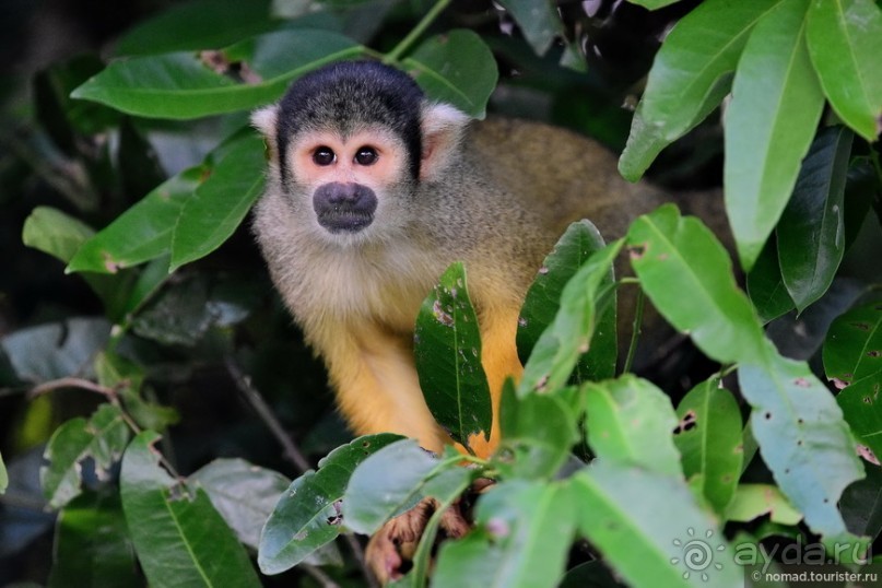 Bolivia te espera! Часть 7