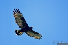 Bolivia te espera! Часть 7