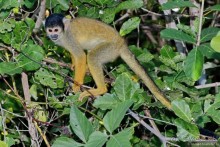 Bolivia te espera! Часть 7