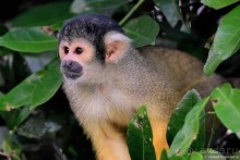 Bolivia te espera! Часть 7