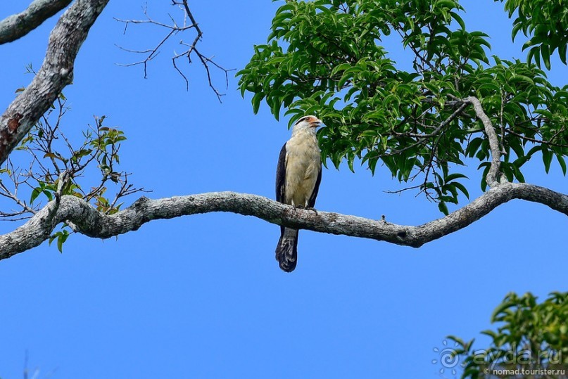 Bolivia te espera! Часть 7
