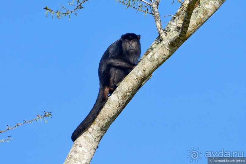 Bolivia te espera! Часть 7