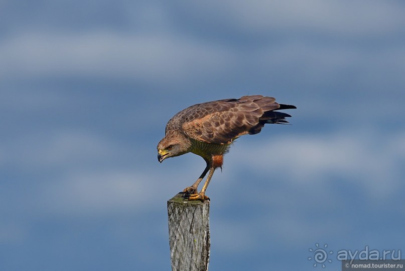 Bolivia te espera! Часть 7