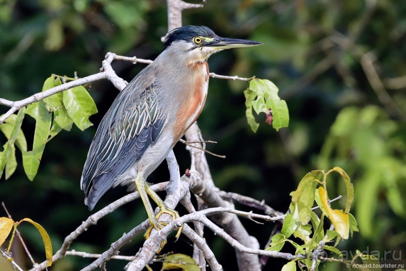 Bolivia te espera! Часть 7