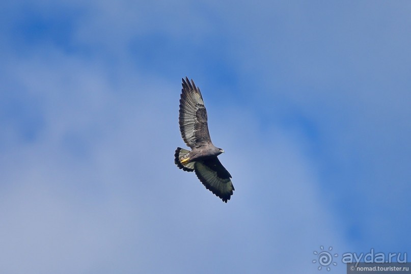 Bolivia te espera! Часть 7