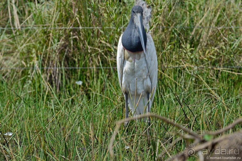Bolivia te espera! Часть 7