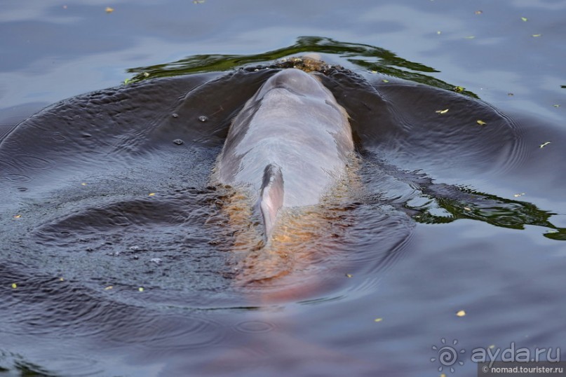 Bolivia te espera! Часть 7