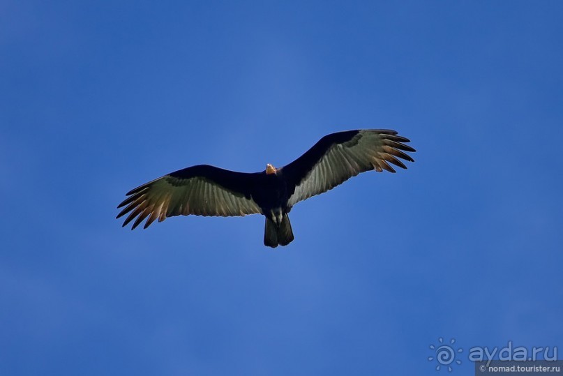 Bolivia te espera! Часть 7