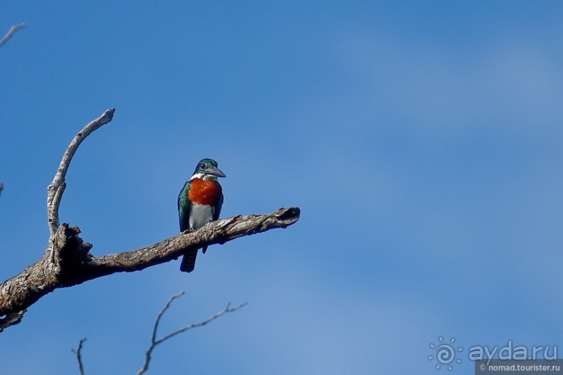 Bolivia te espera! Часть 7
