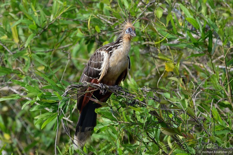 Bolivia te espera! Часть 7