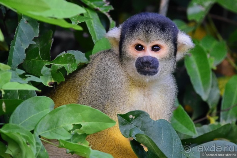 Bolivia te espera! Часть 7