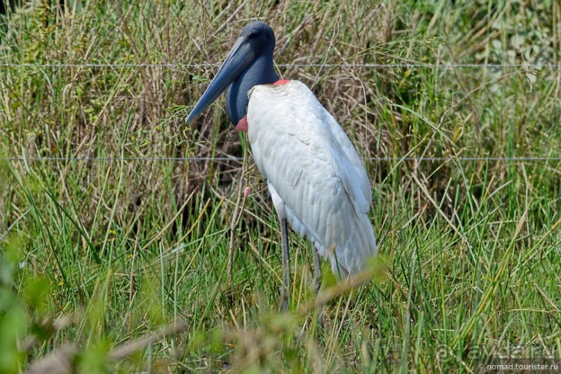 Bolivia te espera! Часть 7