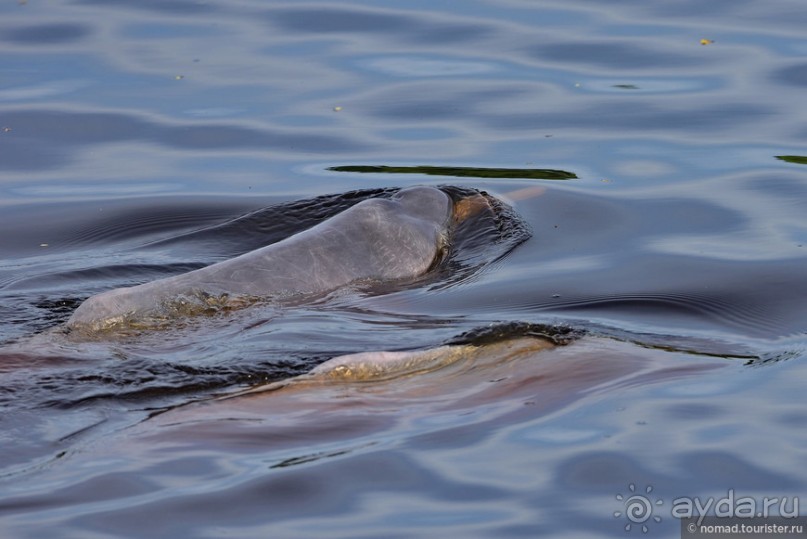 Bolivia te espera! Часть 7