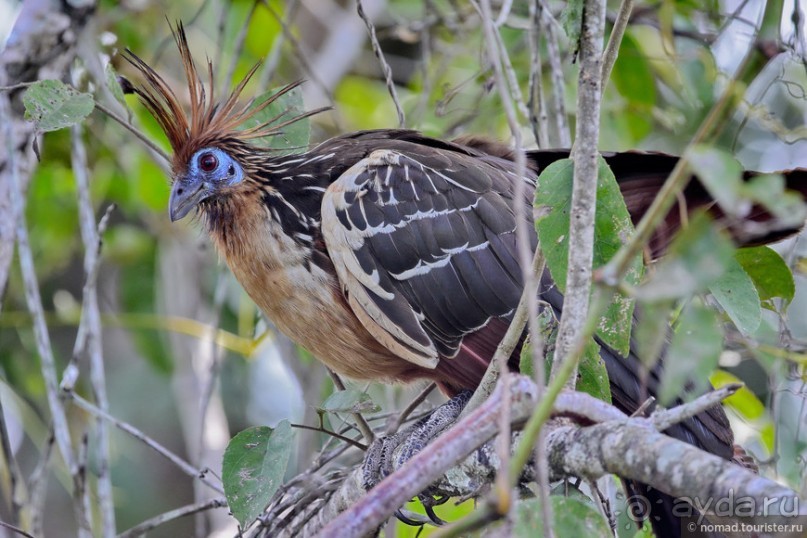 Bolivia te espera! Часть 7