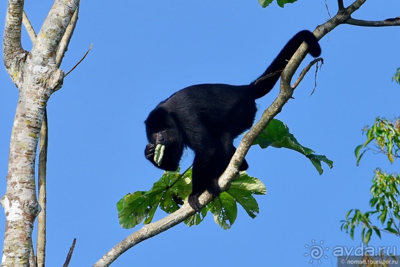 Bolivia te espera! Часть 7