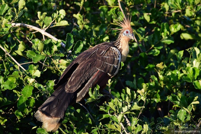 Bolivia te espera! Часть 7