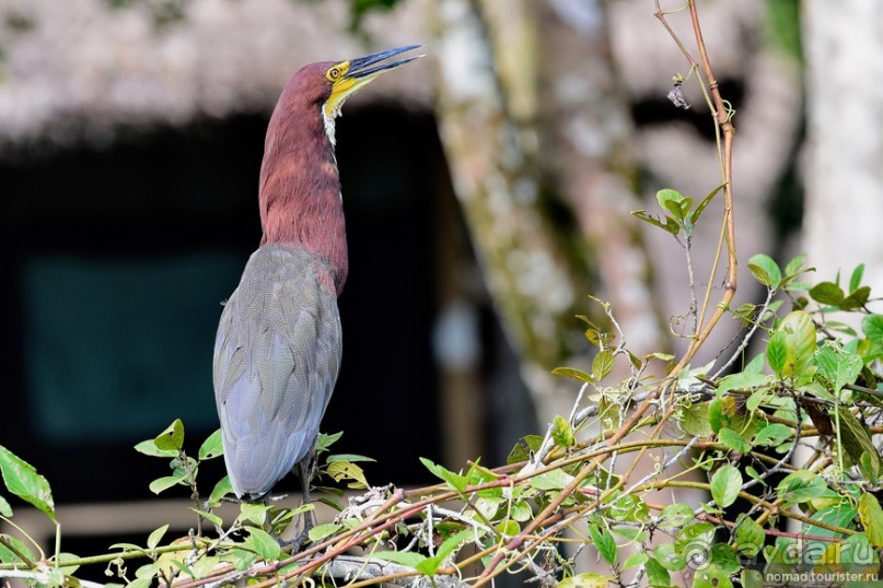 Bolivia te espera! Часть 7