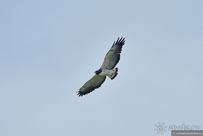 Bolivia te espera! Часть 7