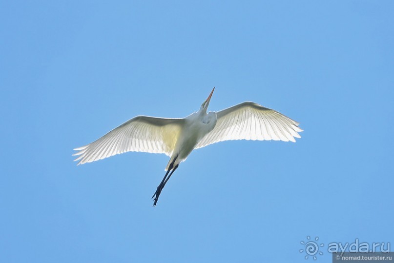 Bolivia te espera! Часть 7