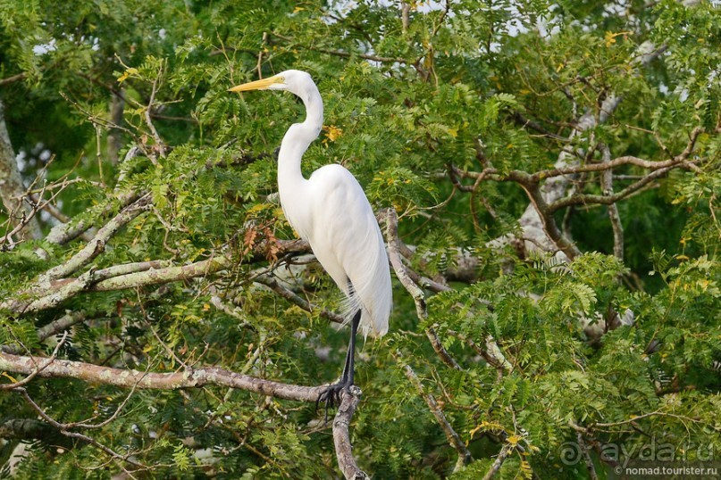 Bolivia te espera! Часть 7