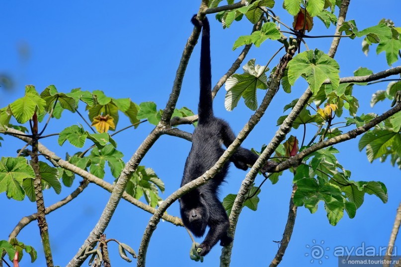 Bolivia te espera! Часть 7