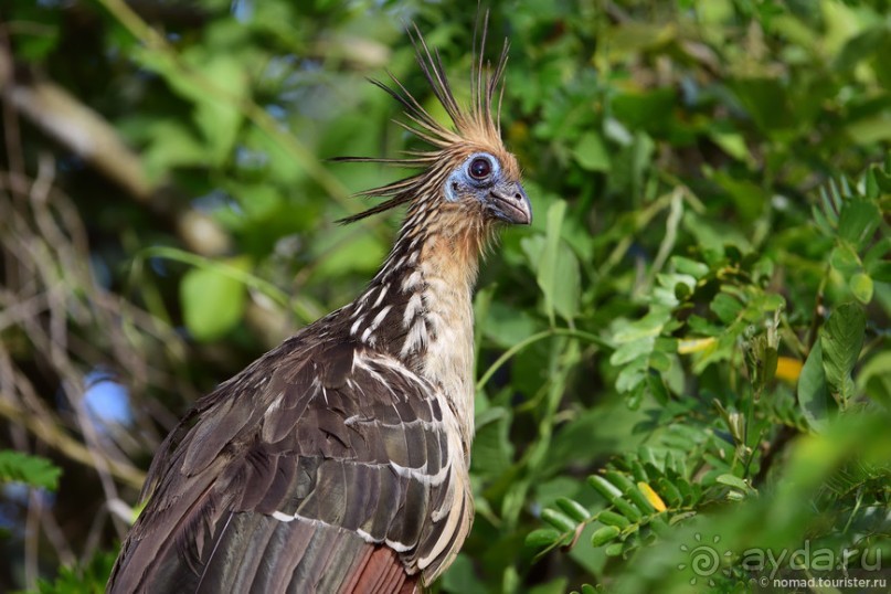 Bolivia te espera! Часть 7