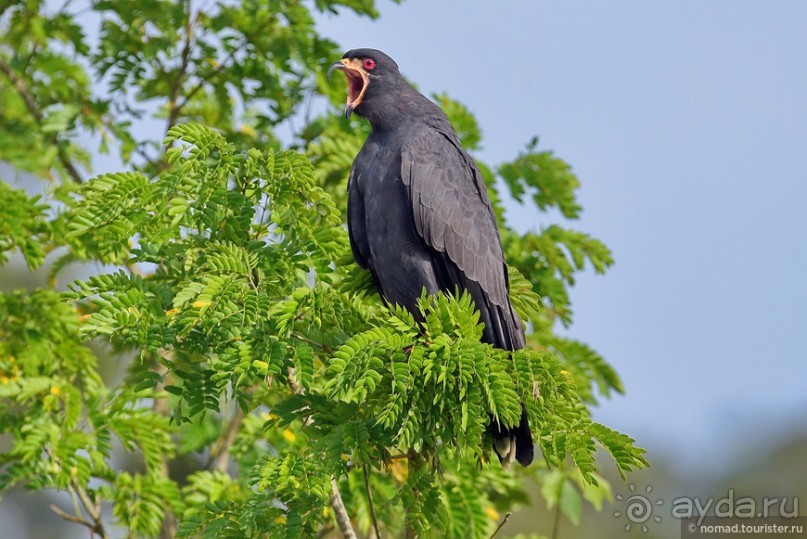 Bolivia te espera! Часть 7