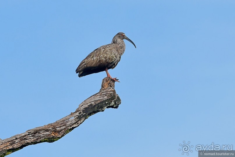 Bolivia te espera! Часть 7