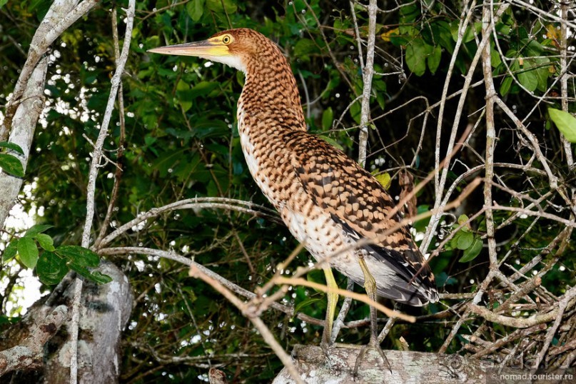 Bolivia te espera! Часть 7